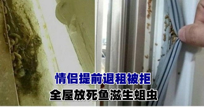 bkncn-20171022031252843-1022_05011_001_01p_meitu_9