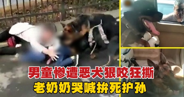 640_0b733d77070e2db9e17f1f08fa98484a