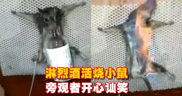 640_f91a319aa2cc326e87a3dab61457c72d