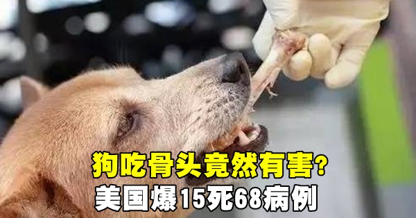 658d96bc866394fb0d145a3719f96bb1