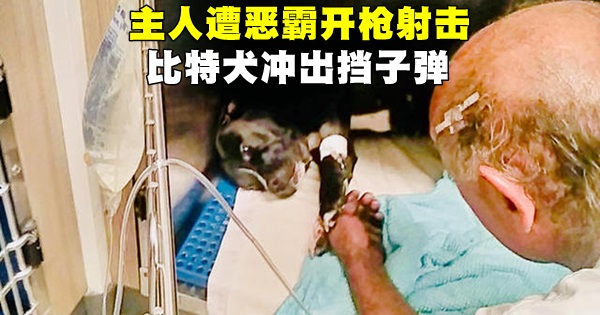 640_28620991b8bed20e0d09f2faa132652d