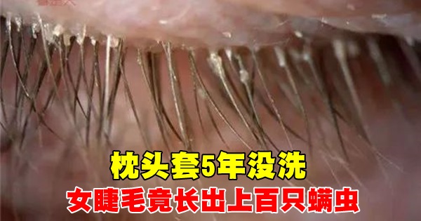 640_a77296f6ec71ad2f3c761d6d07738dc7