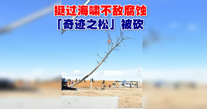 640_de8ca26a50c1ef674196e3e331fc3693_meitu_27