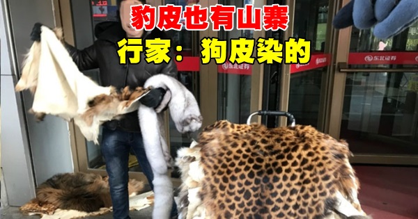 640_eb9ef246190a4aa91d63194cd96a9b2e