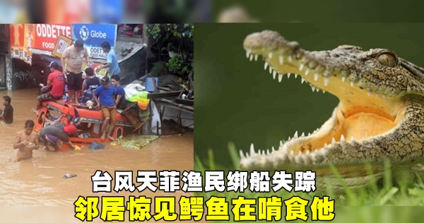 crocodile_main_final