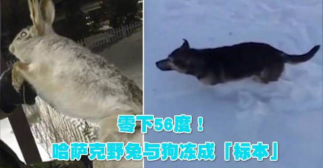 1516876638_0fd6-crop-horz_meitu_8