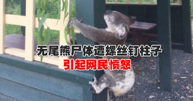 26220040_1543879765647229_4841761617075611185_n_meitu_12