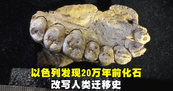 640_046551ad3766007b11995838b32e73e3