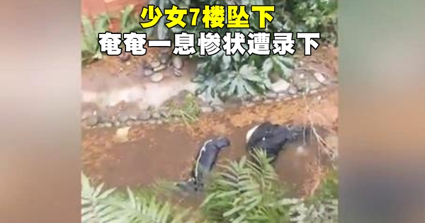 640_4866949c7a78c9c996178c01b2698ceb