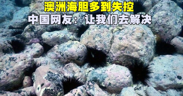 640_b5456371c4e7d555657653d753dc8cd5