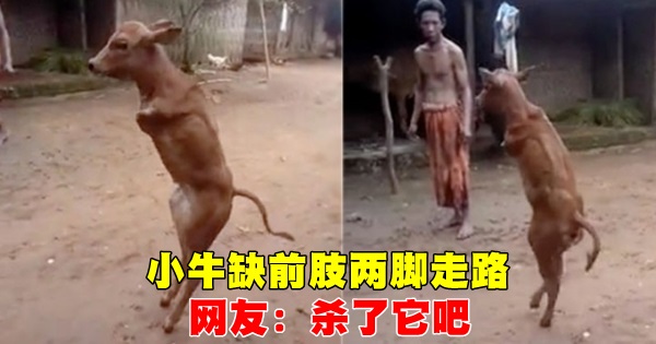 640_fbf31186f4f937348b2c8f73ee6da693