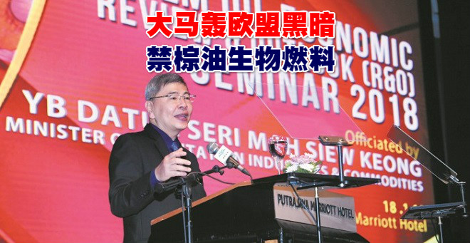 BER_P_M2856_1_meitu_27