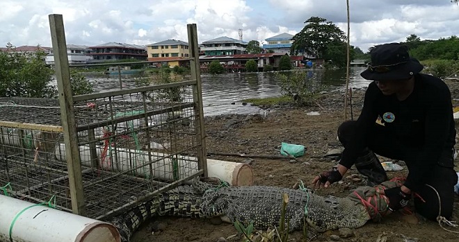 a3558848-ea90-41e8-985e-e16898a622e3