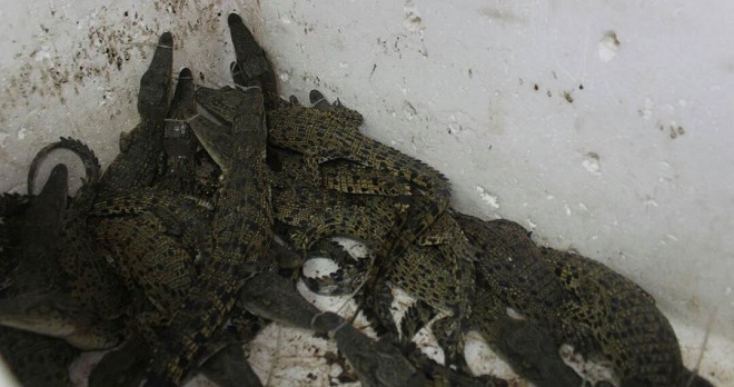 f82753b0-9fd8-4df9-a394-097947659b43