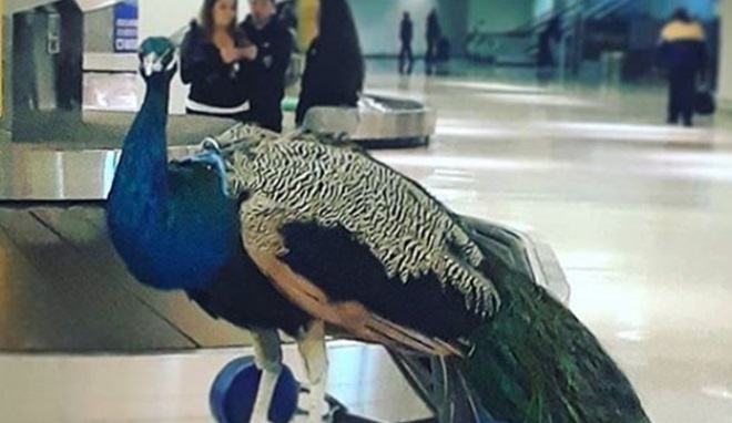 640_a5ee427851a00de671bb7c3e9beaa973