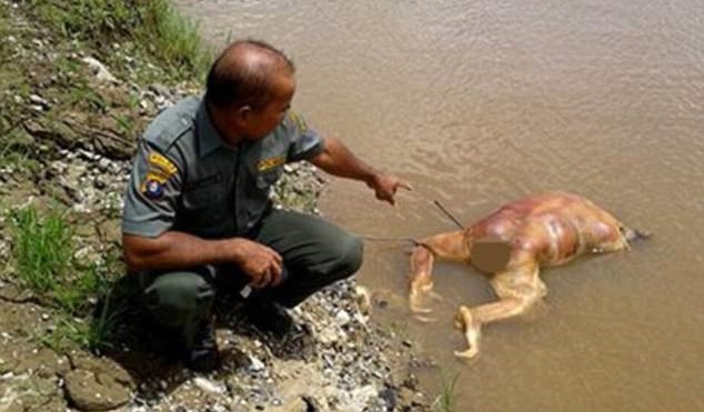 640_e8285032c71acddbc6ac083a735a99f3