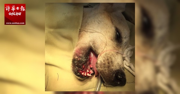 b5f6b947-b9a4-40f8-b7a3-bb358dfadcc9