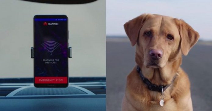 mate10_ai_car_dog-816x427_(1)