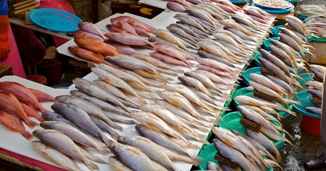 60822-Jagalchi-Fish-Market