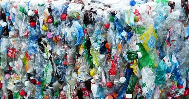 Eco-News-India-Students-Take-Steps-to-Make-Kota-Plastic-Free