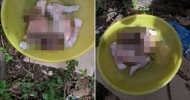 640_3d3f330a3ac6cd1d39918bcb2de3c764