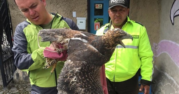 Header_1797951_16.9-1024x576