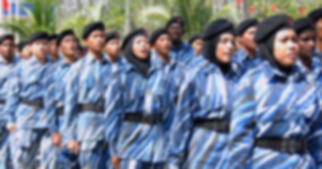 plkn11