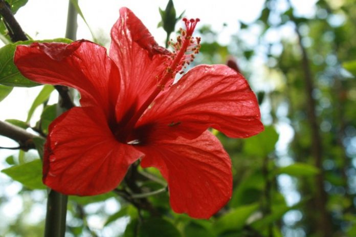 4693191660_f533e31191_b