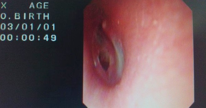 640_5b76fa69f9f70135d2b105733ecf7837