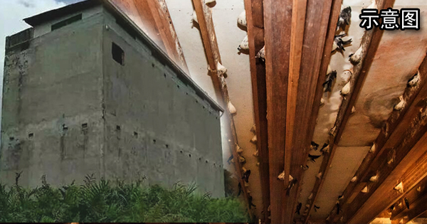 13a