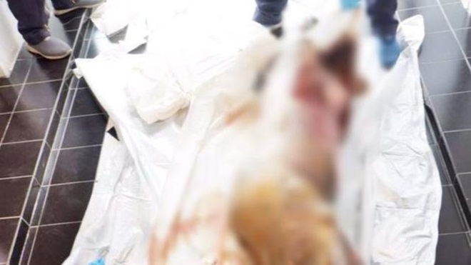 640_afe3c07f8e961300d05e29081c8825a2