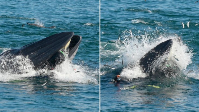 640_2f8c6a65152be09feea0591ca812f29a