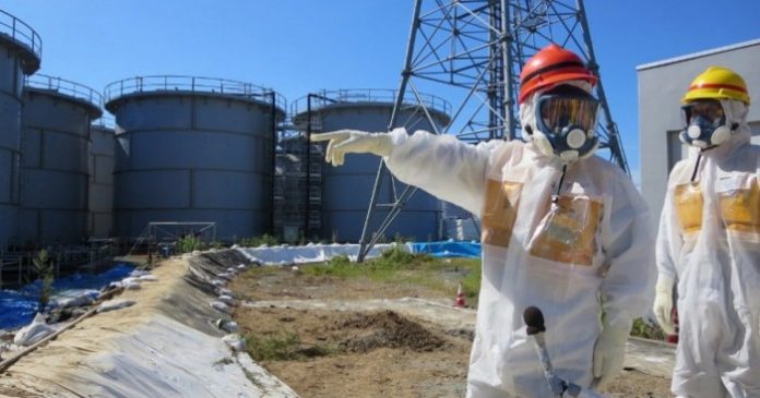 3108fukushima-seo