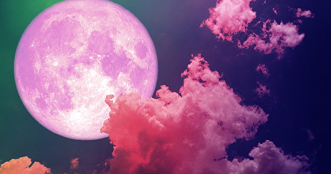 shutterstock_1138911659-1-600x400