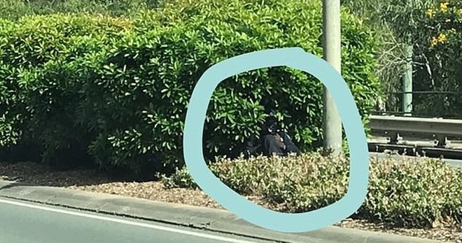 640_f8d52eb3a00b36744f349d113a6fe0bc