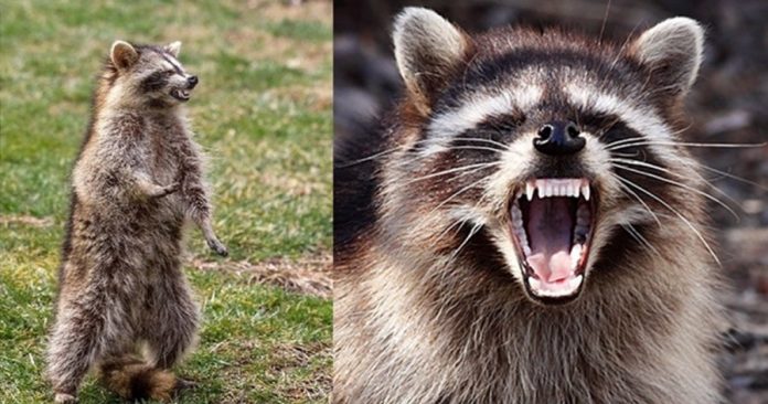 6d0763cc7ab28414c61b392f3553e0f8