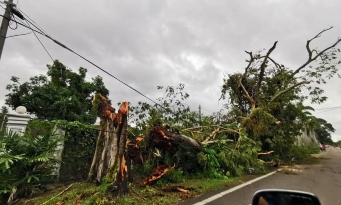 ec3e9a897ecd112c0bfbfac70362562d