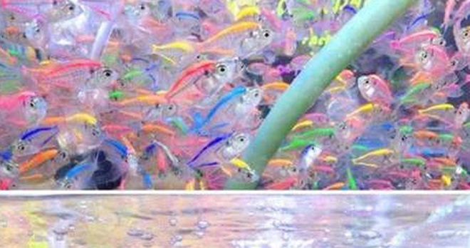 220035vulv7m98m3oumyu9