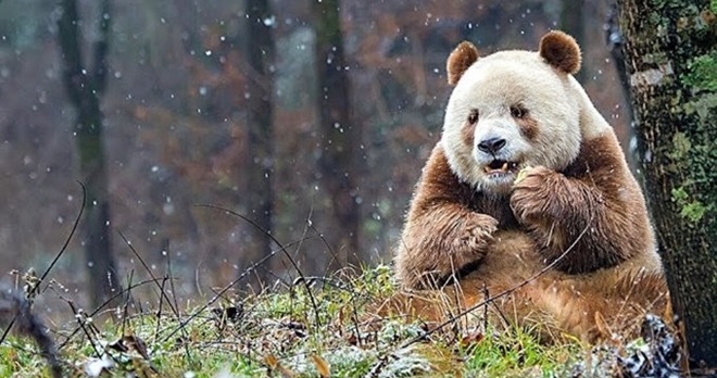 3e34f3faf8210fddc5db9e0bd40a5f35