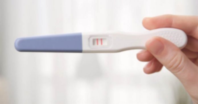 d81039657cf27d776918b09ac2edb12e