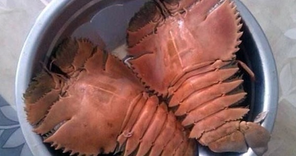 32b787696a9b4ec0aec4fc1ad5042b45