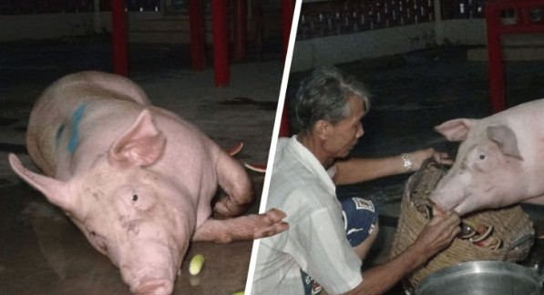 640_9bdff1cc1e0cf2d66d688f016fa39654