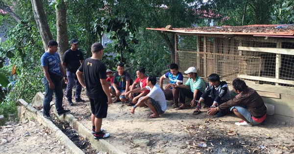 Tuaran A