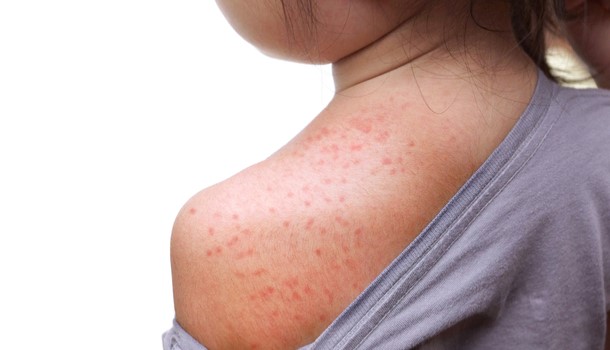 3d62d702-b3b4-411d-a63d-21f019aa3470