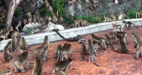 Screenshot (1)544545