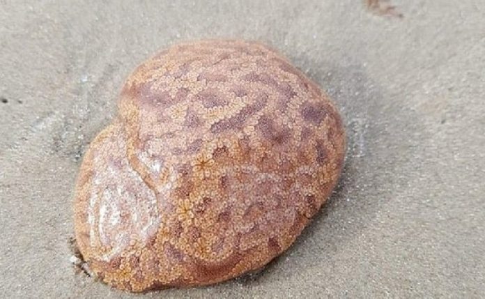 c4351ca9b00285c1fb69f1af834cd79f