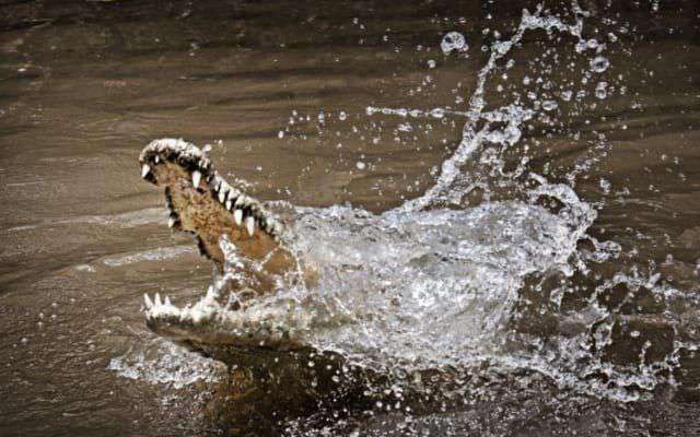 dc670b4c0a431c0944c89197756adc02