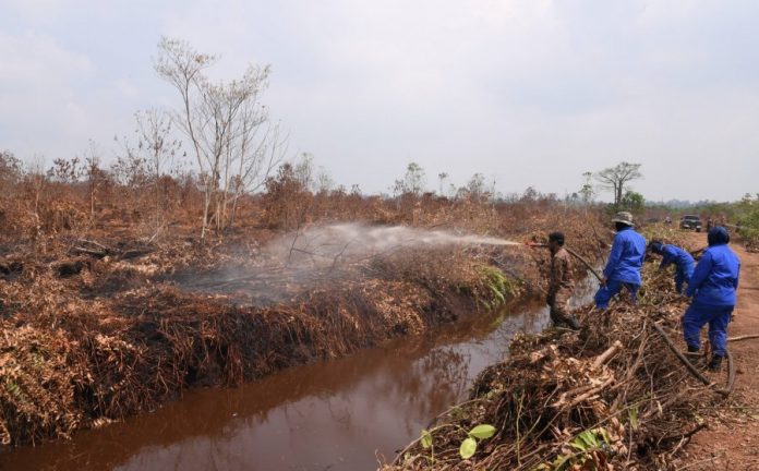 fa6861997263067c86e29f9d8c006656