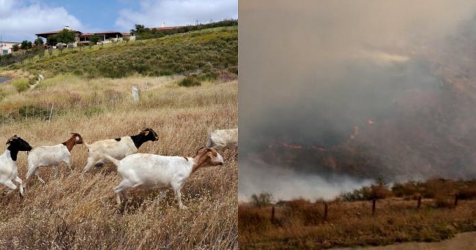 fa93cf22cc818ee3d17eeec4e909bd44