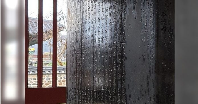 md-565055df8feca37b887b1a1842ed7039